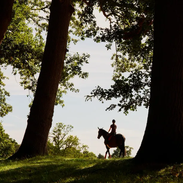 Coworth Park - Grounds - Equestrian - Portrait