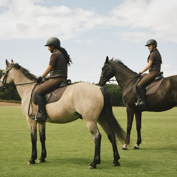 Team Portraiture - Equestrian