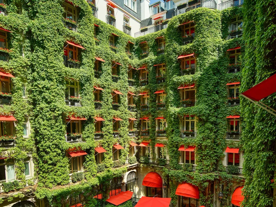 La Cour Jardin Courtyard green vine, red awnings and parasols seen from a room window, at Hotel Plaza Athénée, Paris