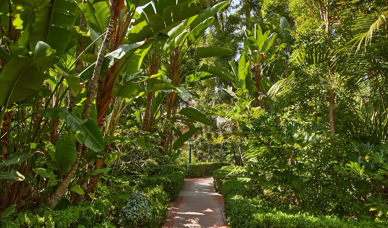 Exterior at The Beverly Hills Hotel, Los Angeles
