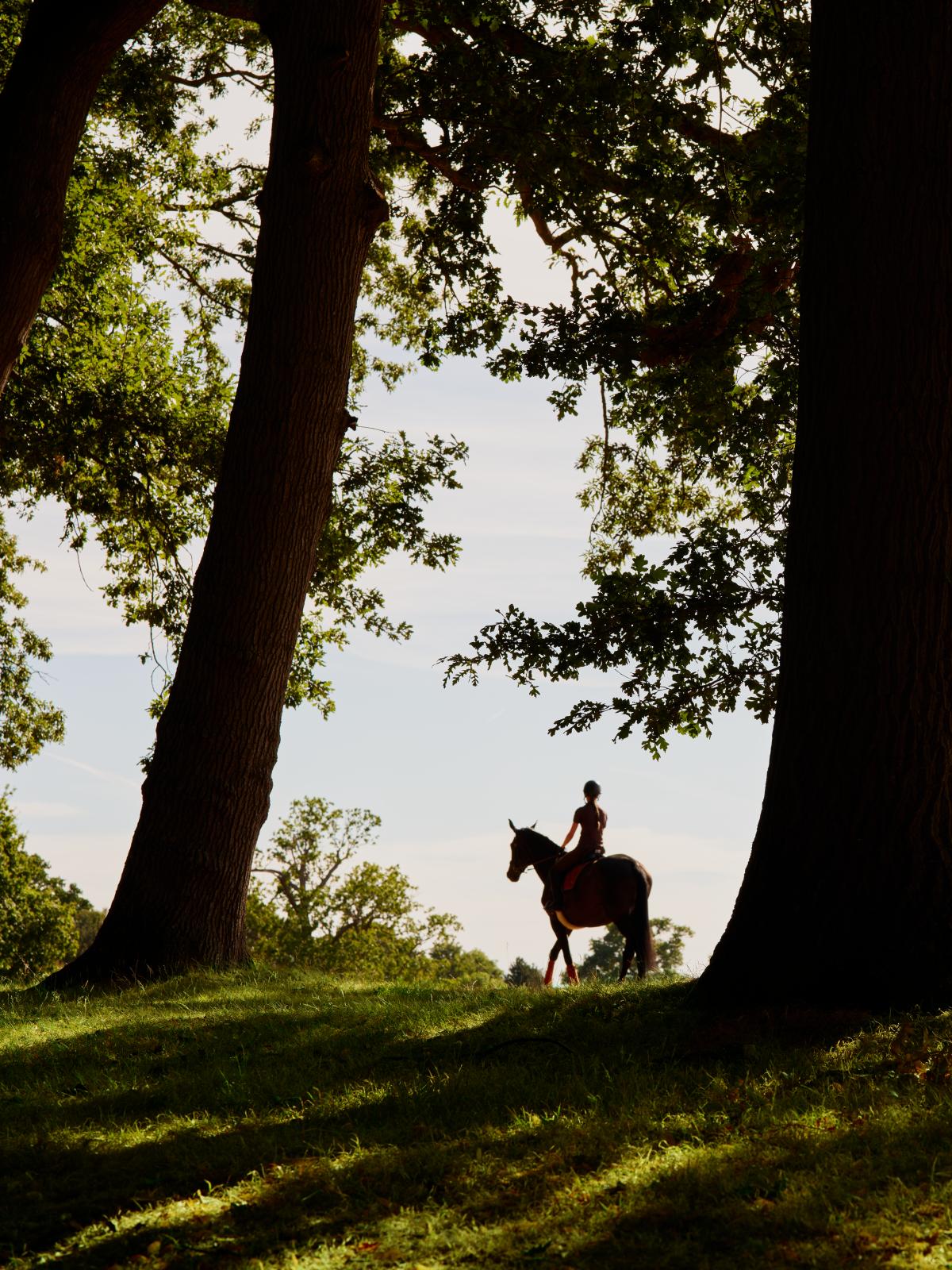 Coworth Park - Grounds - Equestrian - Portrait