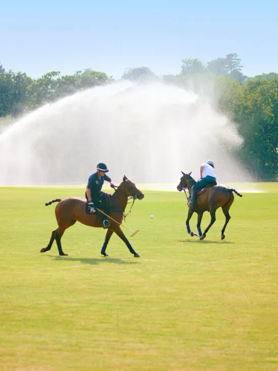 Polo at Cowoth Park