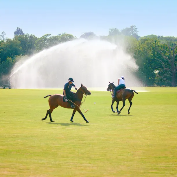 Polo at Cowoth Park