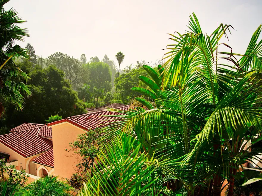 Canyon views of greenery and rooftops at Hotel Bel-Air