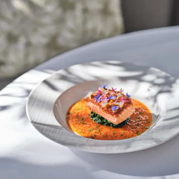 Salmon dish