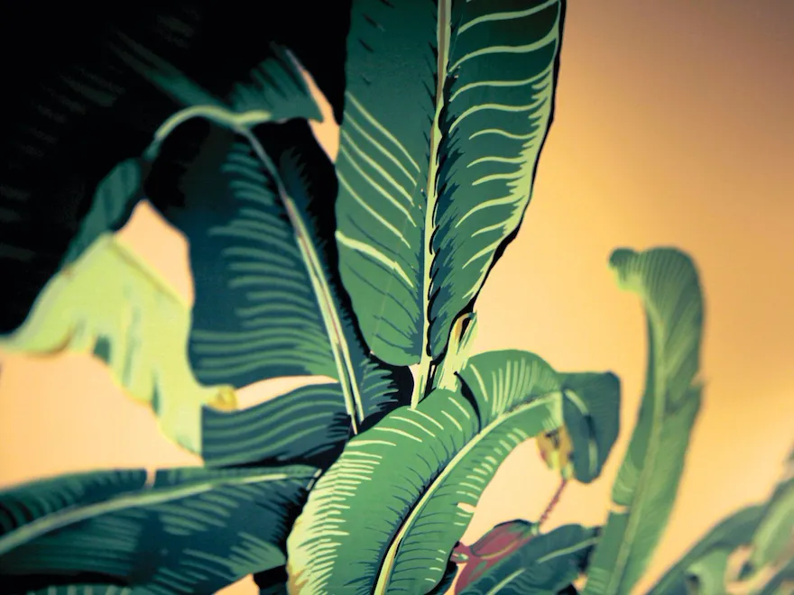 Martinique Banana Leaf Wallpaper at The Beverly Hills Hotel, Los Angeles