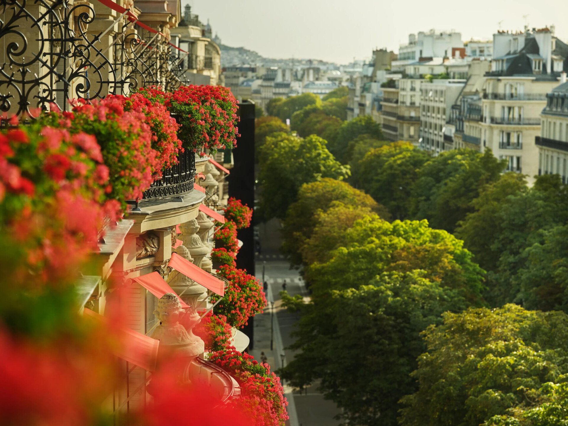 Vista aérea de uma rua parisiense com varandas ornamentadas decoradas com flores vermelhas vibrantes à esquerda. Árvores verdes exuberantes alinham-se ao longo da rua, exalando uma atmosfera serena e elegante.