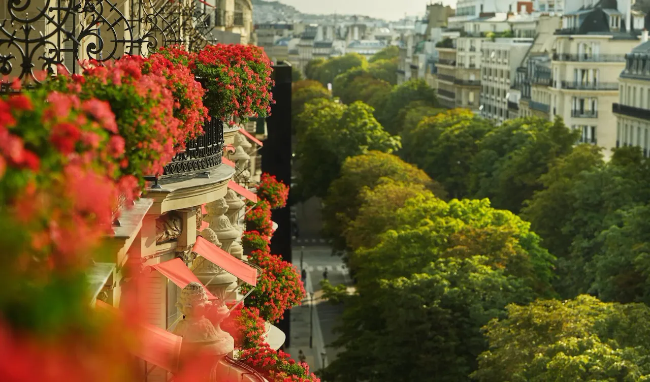 Vista aérea de uma rua parisiense com varandas ornamentadas decoradas com flores vermelhas vibrantes à esquerda. Árvores verdes exuberantes alinham-se ao longo da rua, exalando uma atmosfera serena e elegante.