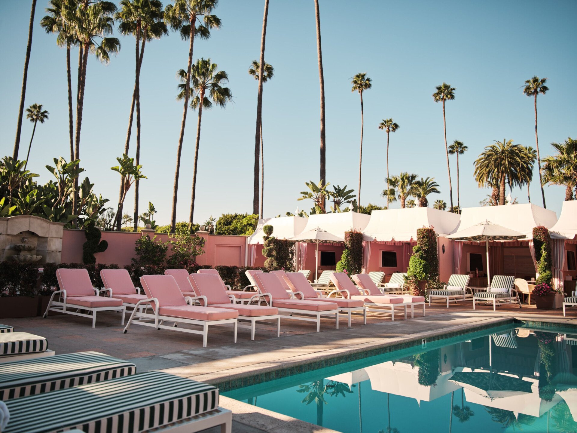 Pink pool loungers and palm tree backdrop at The Beverly Hills Hotel pool