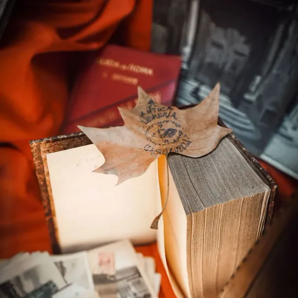 Antique book and postcards