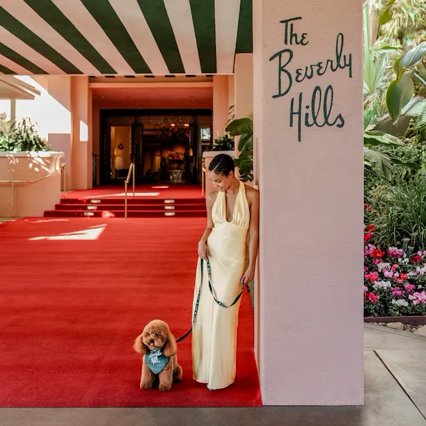A person with a service dog by a building entrance, sunny day, relaxed mood, lush greenery around