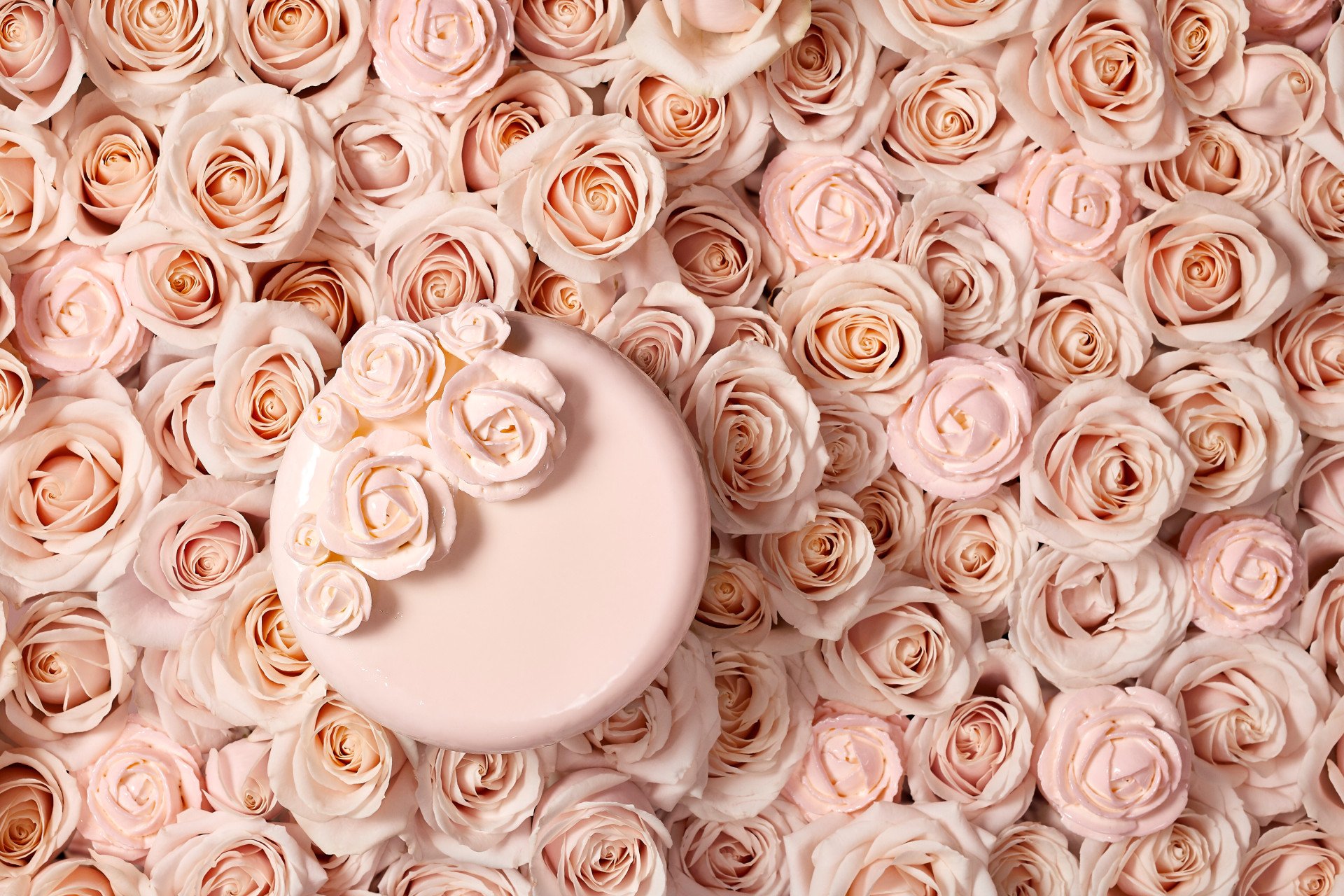 The Dorchester Cake and Flowers Hero images. 