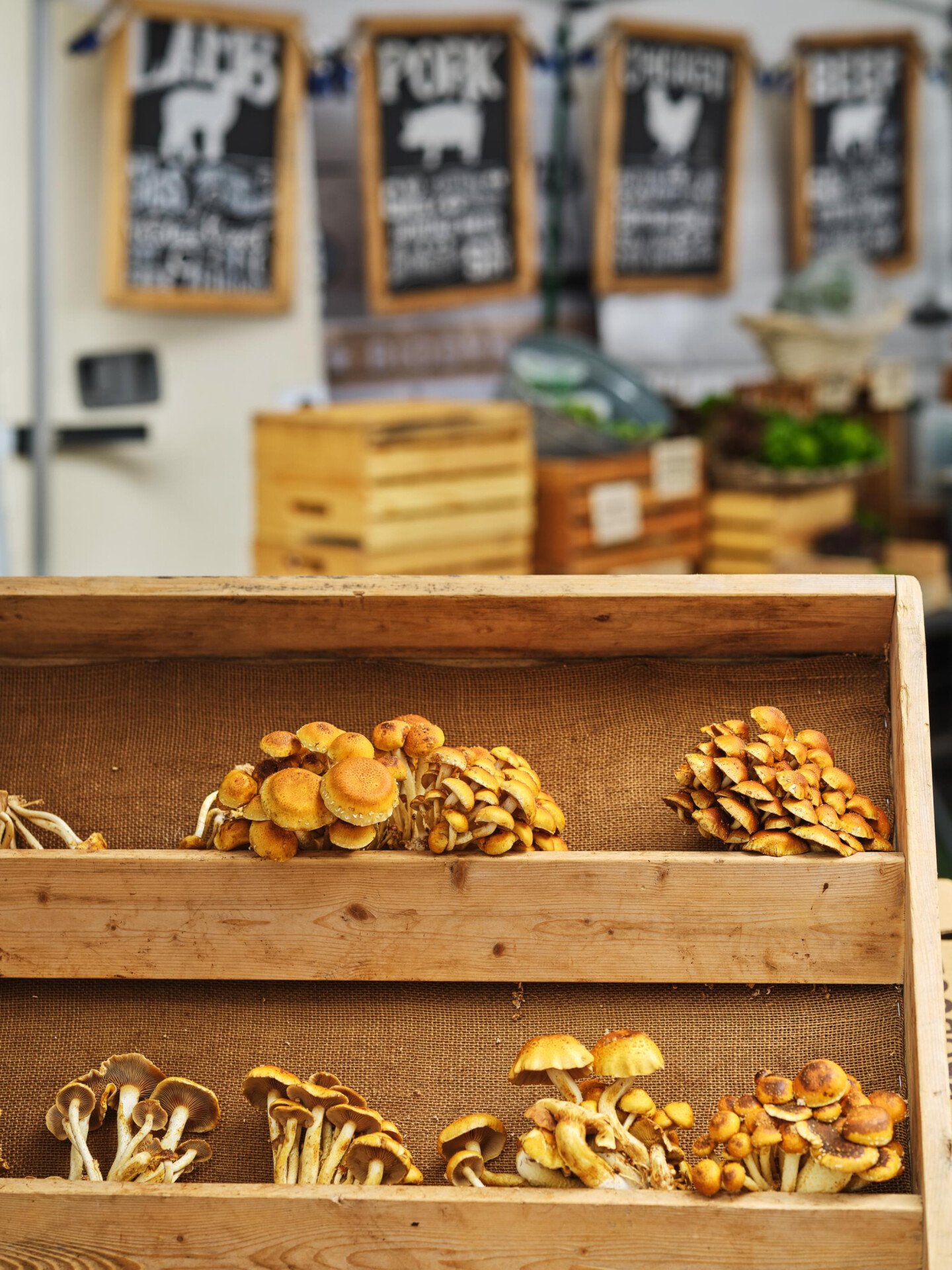Mushrooms at the farmers market 
