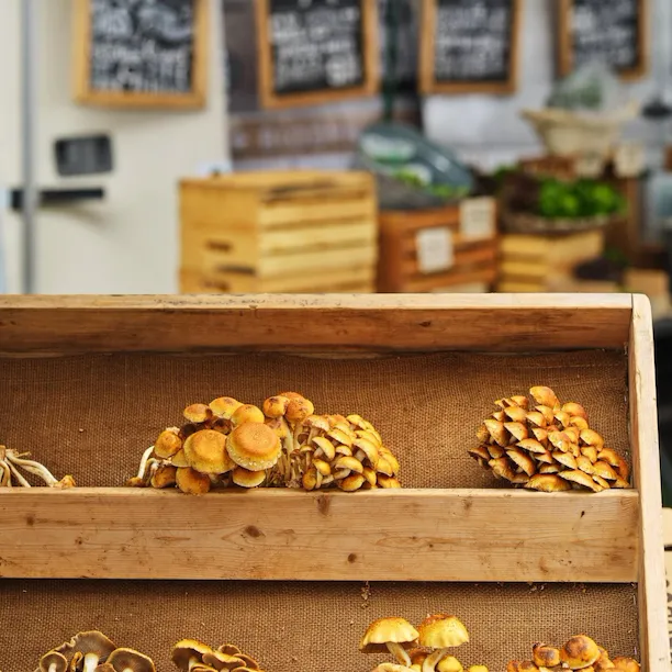 Mushrooms at the farmers market