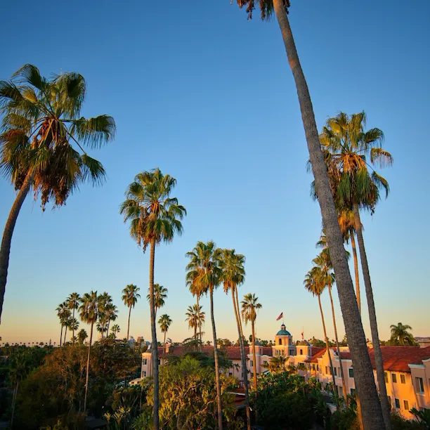Photo of the hotel facade and palm tree skyline at The Beverly Hills Hotel