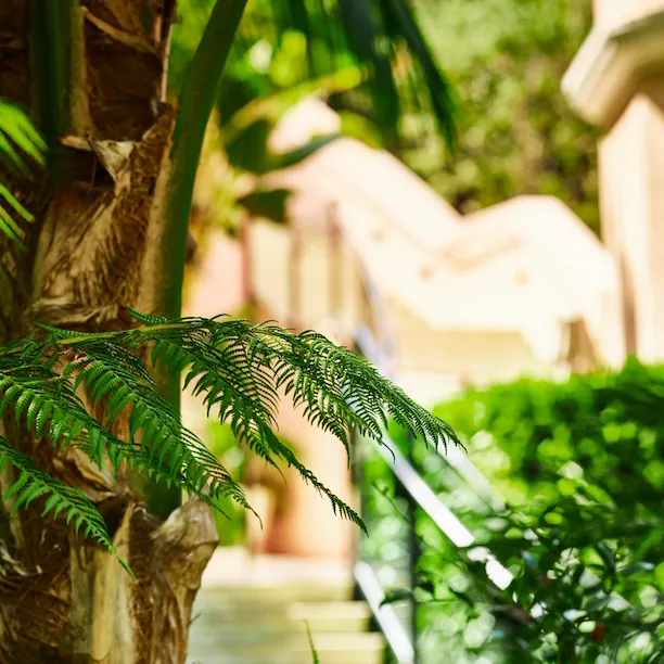 Stairway to canyon suites at Hotel Bel-Air