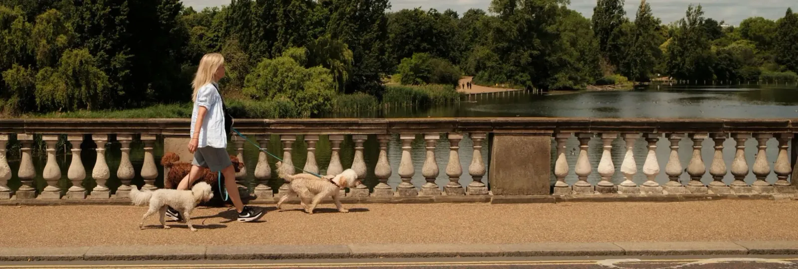 Iconic London destinations captured in soft, warm light during the day