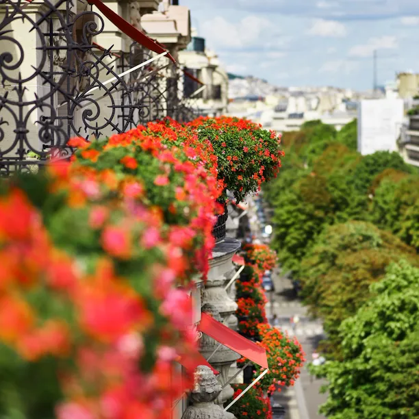 Varandas repletas de flores adornam um edifício, decoradas com vibrantes flores vermelhas e cor-de-rosa. Abaixo, uma rua urbana arborizada estende-se ao longe. Dia ensolarado e luminoso.