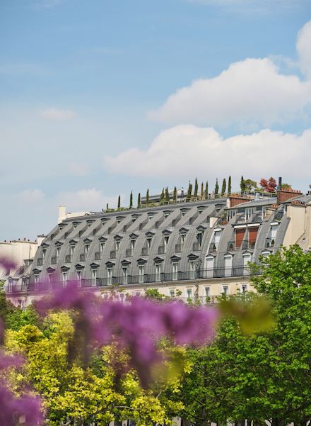View on the roof of the hotel with in first plan the trees and violet flowers, at Le Meurice, Paris