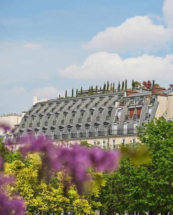 View on the roof of the hotel with in first plan the trees and violet flowers, at Le Meurice, Paris