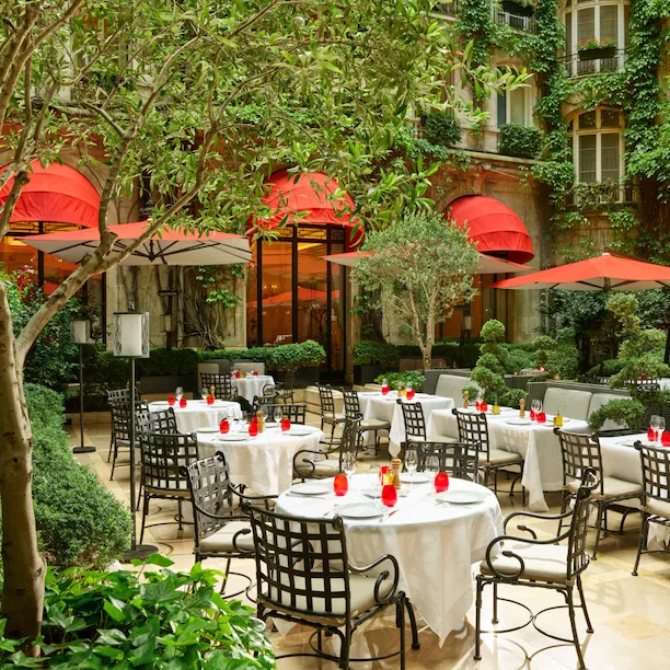 Terrasse de La Cour Jardin avec tables dressées, parasols rouges emblématiques, vigne verte et arbres vus de côté, à l’Hôtel Plaza Athénée, Paris