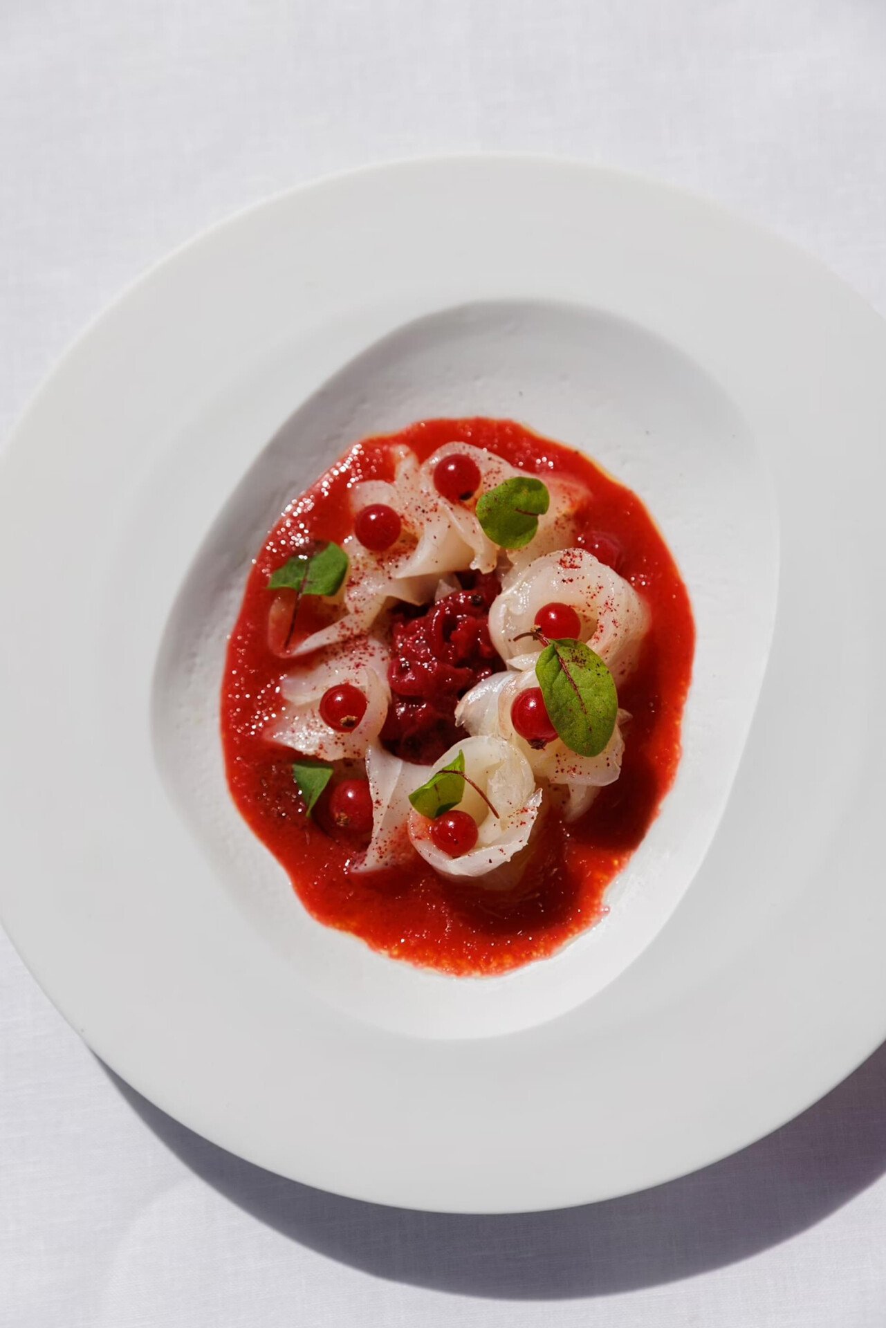Sea bass fish at La Terrasse Montaigne 