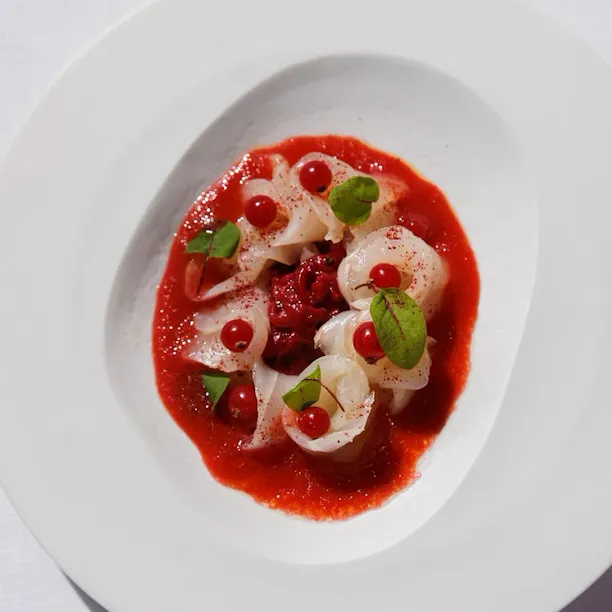 Sea bass fish at La Terrasse Montaigne