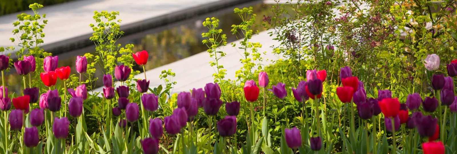 Coworth Park Terrace pools
