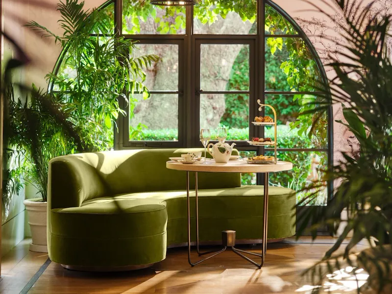 Afternoon tea moment in The Living Room