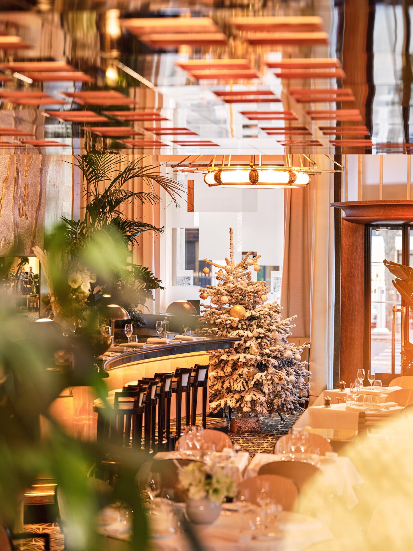 Picture of Le Relais during Christmas.