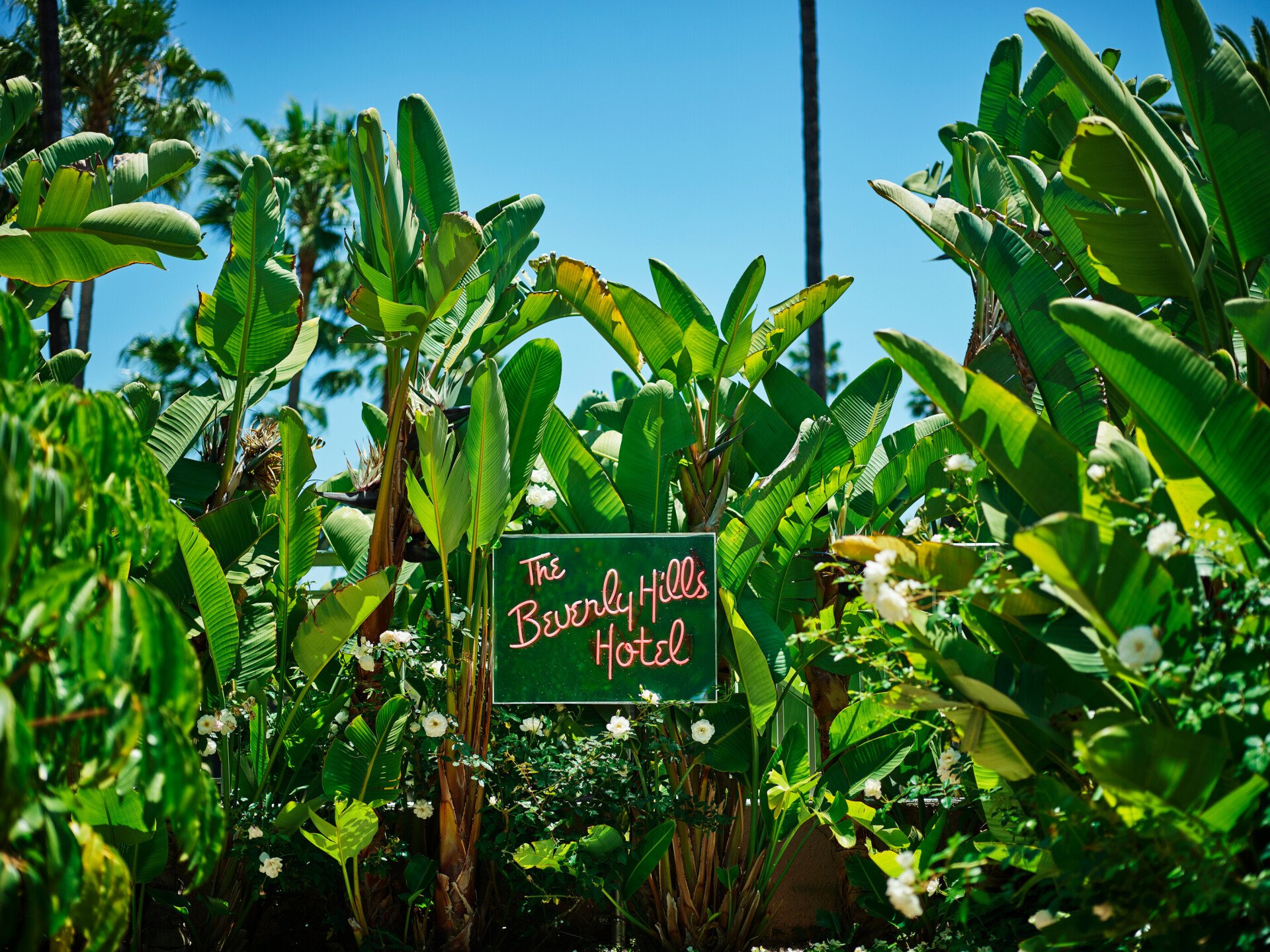 BHH Citrus Garden Neon Sign 