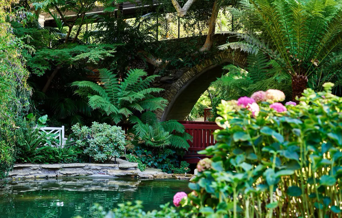 Swan lake and flowers under the bridge at Hotel Bel-Air