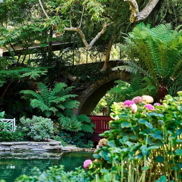 Swan lake and bridge