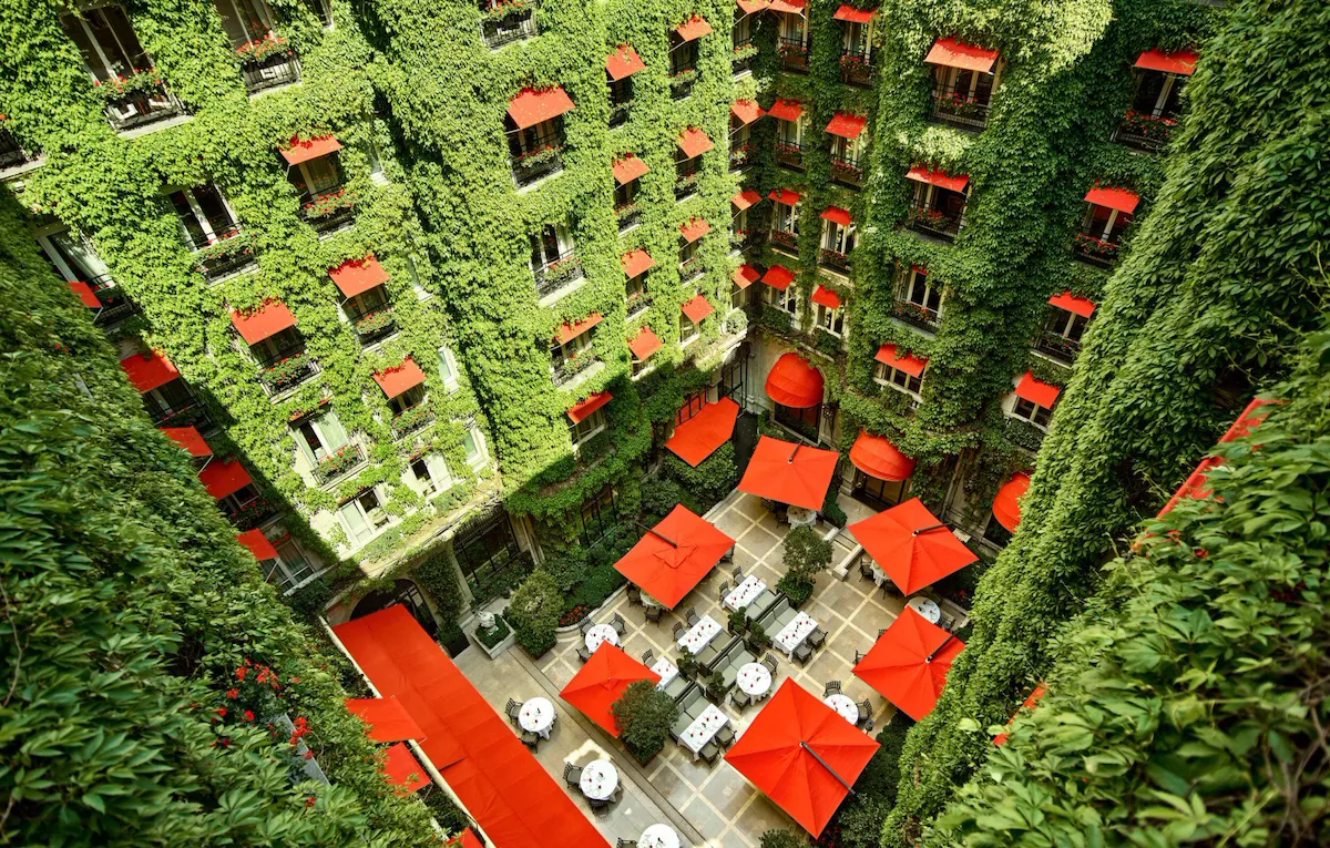 La Cour Jardin Courtyard green vine, red awnings and parasols seen from above, at Hotel Plaza Athénée, Paris
