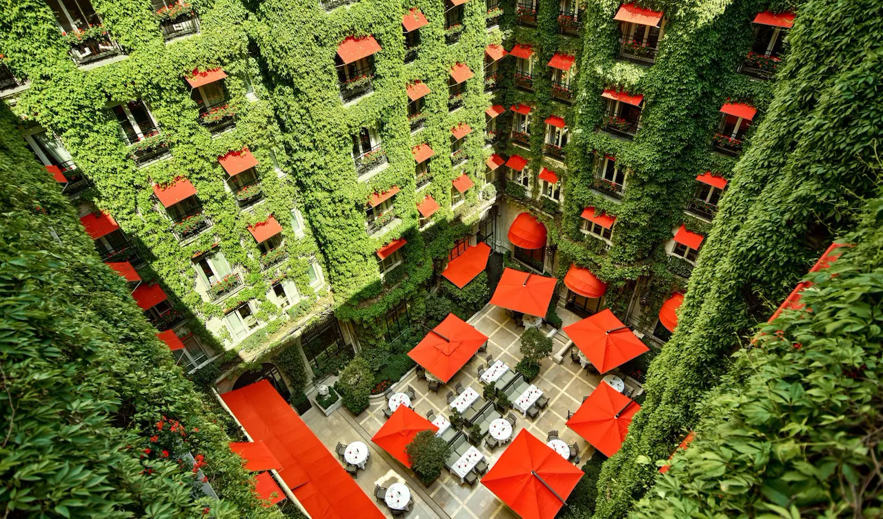 La Cour Jardin Courtyard green vine, red awnings and parasols seen from above, at Hotel Plaza Athénée, Paris