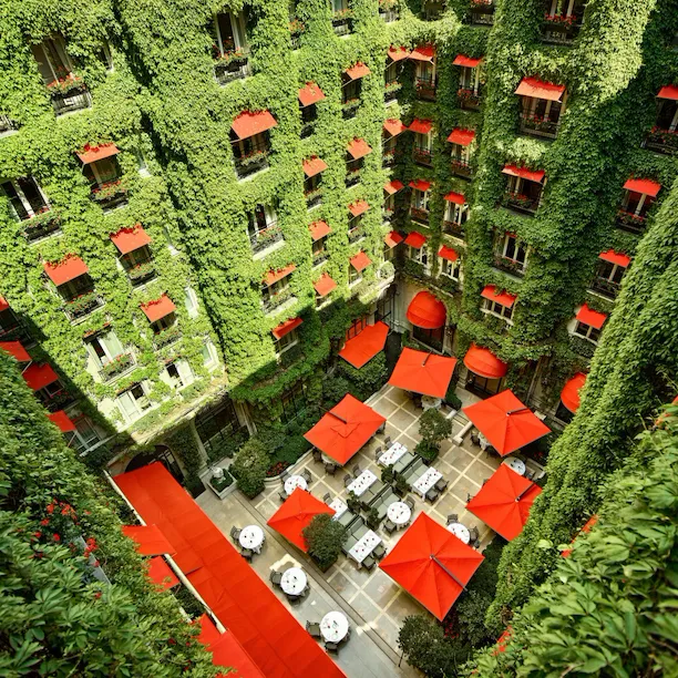 La Cour Jardin Courtyard green vine, red awnings and parasols seen from above, at Hotel Plaza Athénée, Paris