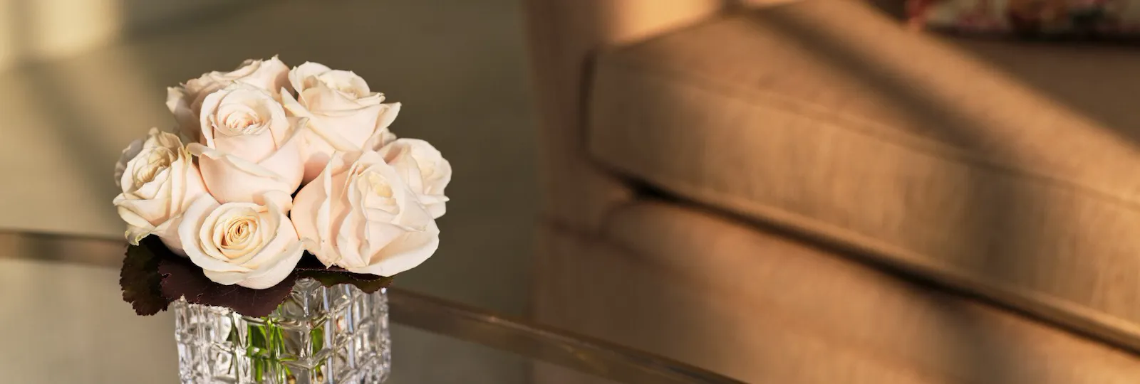 Executive Park View and Executive Room at The Dorchester