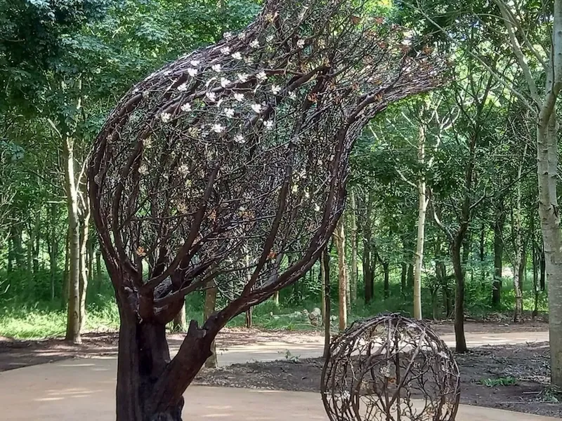 Jill Berelowitz art exhibition at Hotel Bel-Air