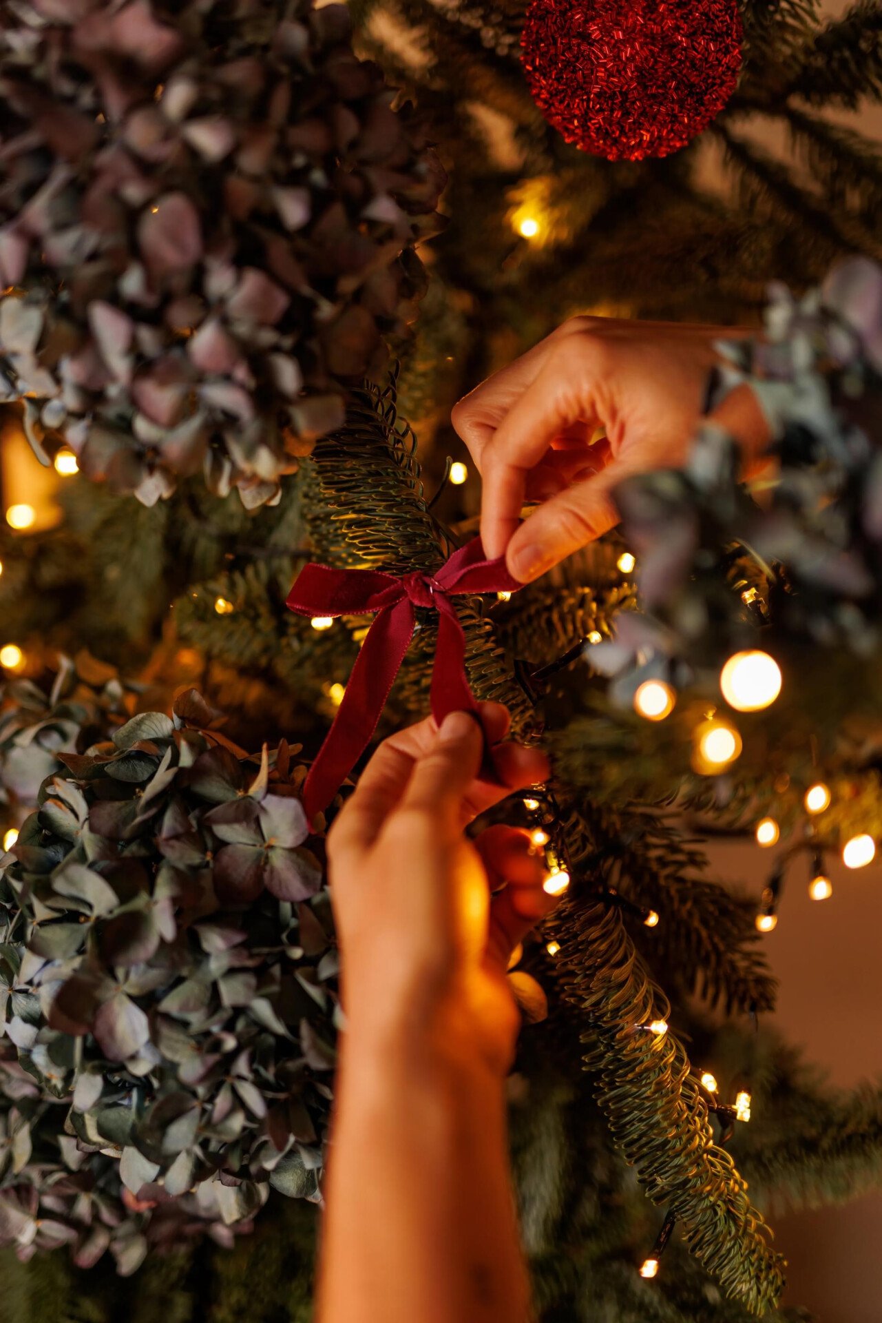 Close-up of Christmas tree decorations: a hand carefully tying a red velvet bow.