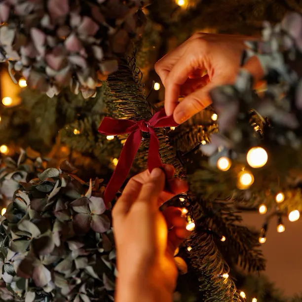 Close-up of Christmas tree decorations: a hand carefully tying a red velvet bow.
