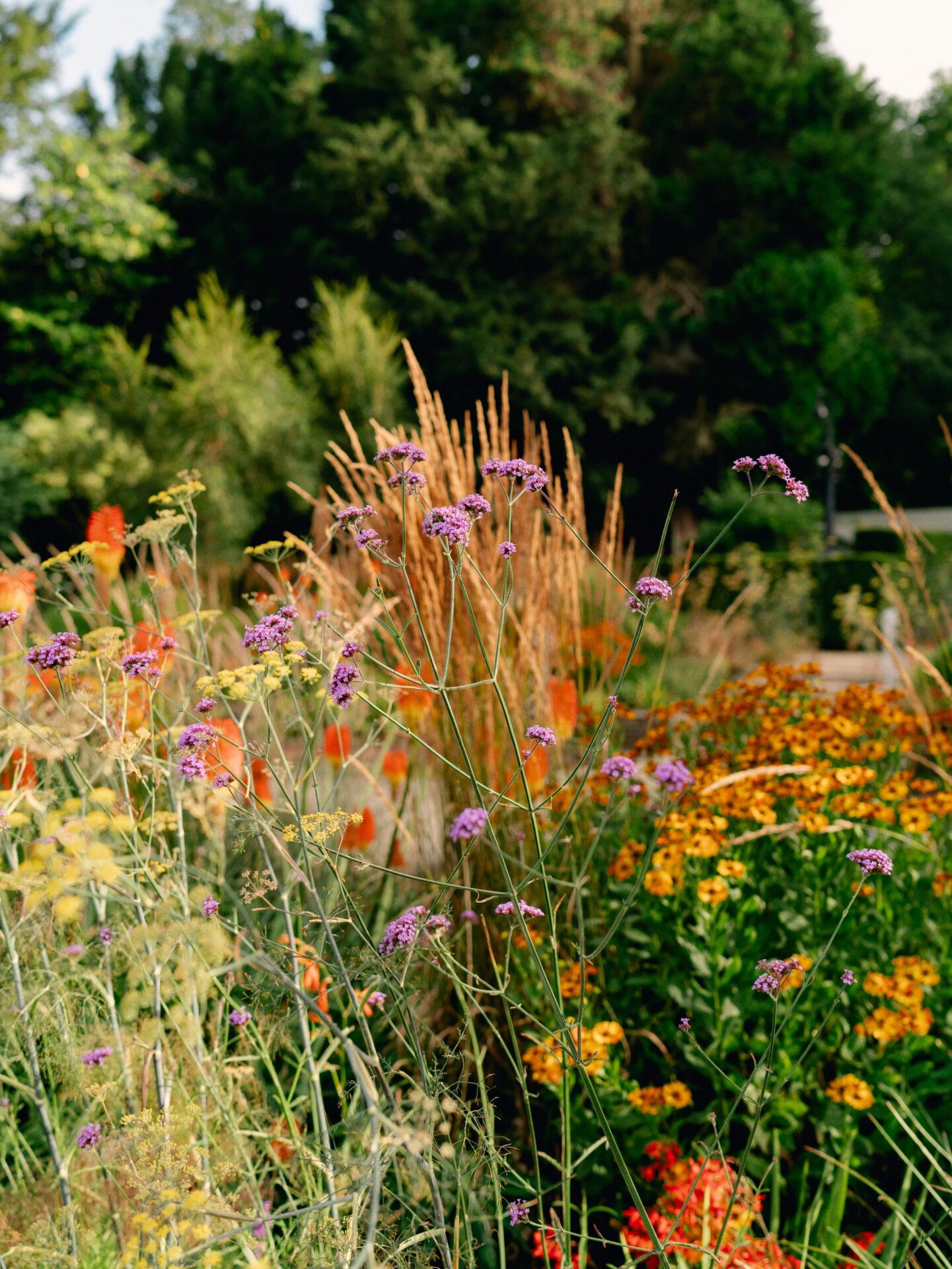 The grounds at Coworth Park