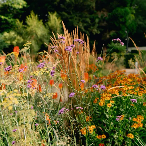 The grounds at Coworth Park
