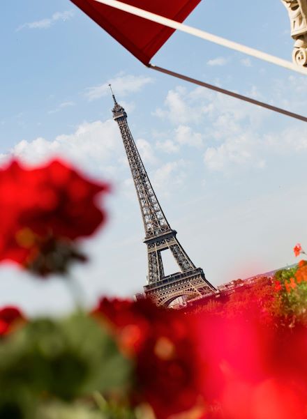 View of Eiffel Tower from balcony with red flowers in foreground at Hôtel Plaza Athénée, Paris