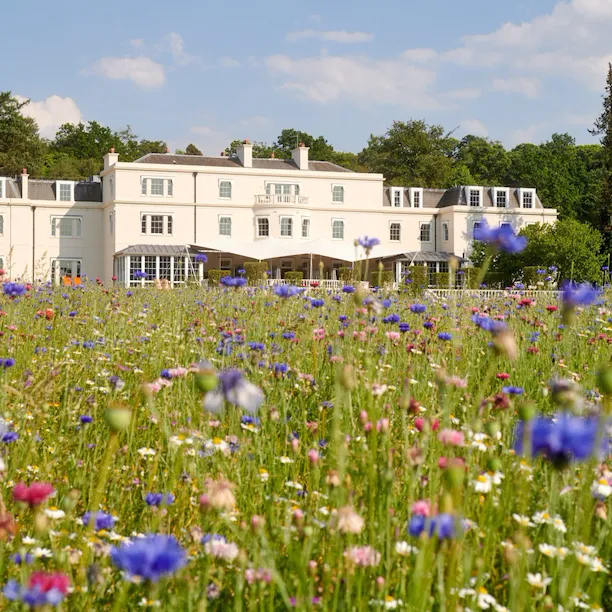 The Meadow at Coworth Park in the Summer