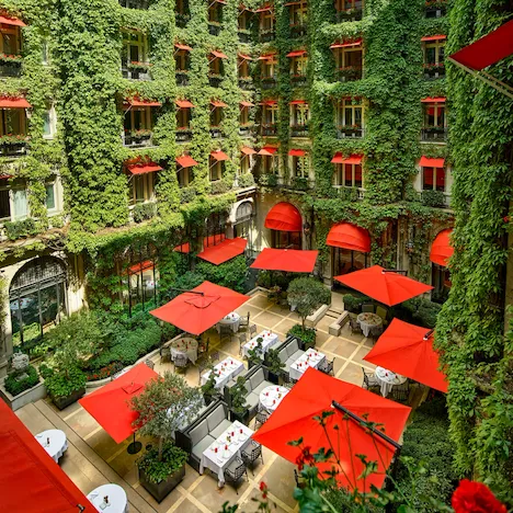 La Cour Jardin Courtyard green vine, red awnings and parasols seen from above, at Hotel Plaza Athénée, Paris