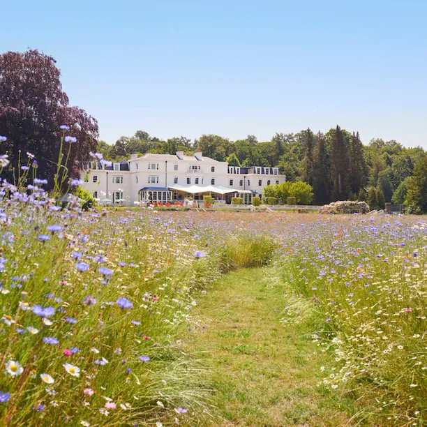 The Meadow at Coworth Park in the Summer