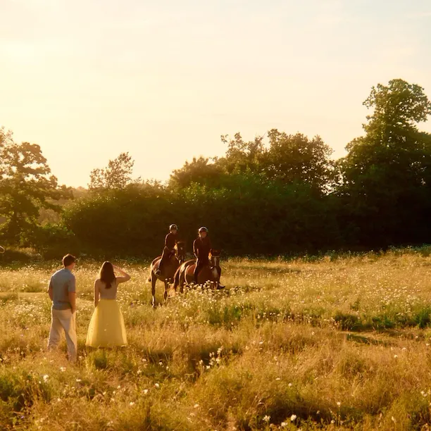 Evening in the Meadow with Horse and couple