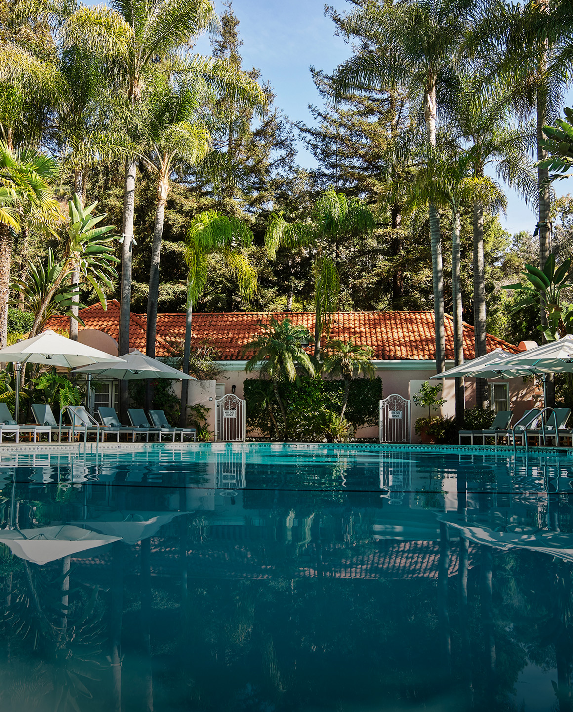 Pool at Hotel Bel-Air
