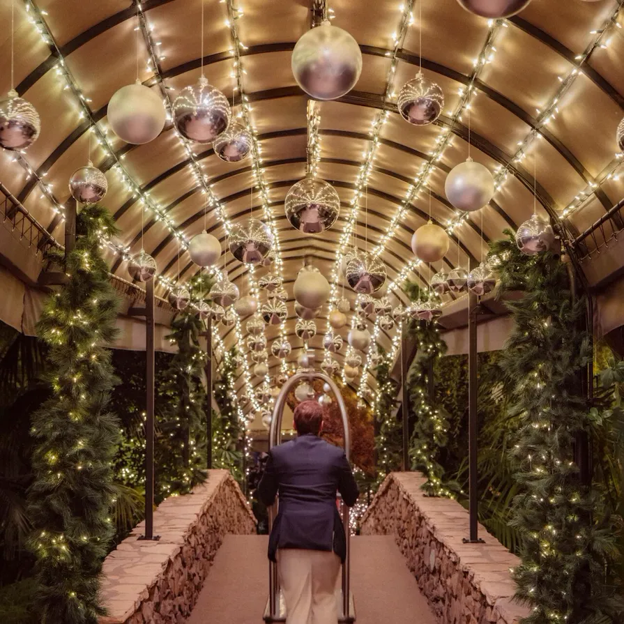 Front entrance bridge