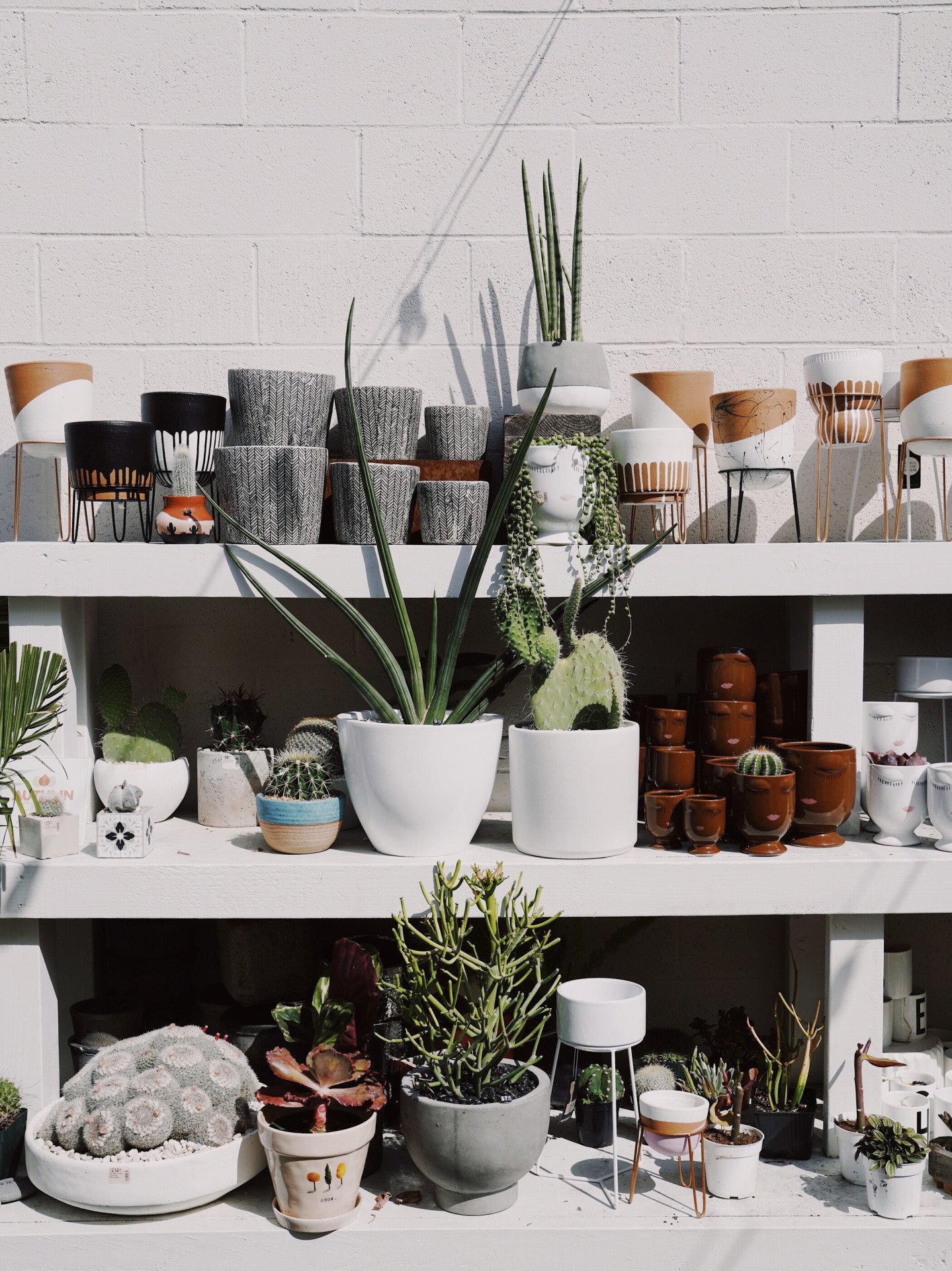 Venice & Abbot Kinney in Los Angeles